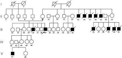 Frontiers Case report Clinical characteristics and treatment of